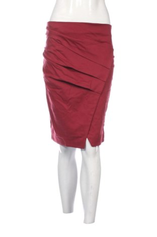 Fustă Relish, Mărime M, Culoare Roșu, Preț 146,97 Lei, #137788815