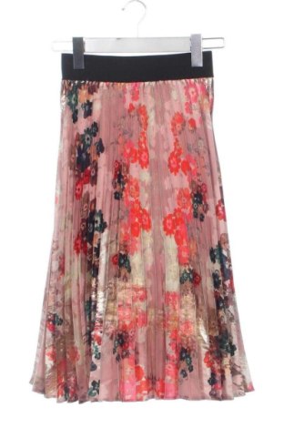 Fustă Unbranded, Mărime XS, Culoare Multicolor, Preț 62,00 Lei, #137790568