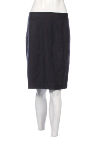 Fustă J.Crew, Mărime M, Culoare Albastru, Preț 220,46 Lei, #137791408
