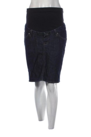 Φούστα Zara, Μέγεθος L, Χρώμα Μπλέ, Τιμή 14,00 €, #137802589