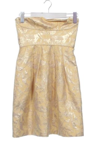 Rochie BCBG Max Azria, Mărime XS, Culoare Auriu, Preț 404,18 Lei, #137775495