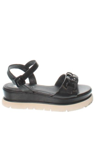 Sandale Lumberjack, Mărime 36, Culoare Negru, Preț 257,99 Lei, #137789189