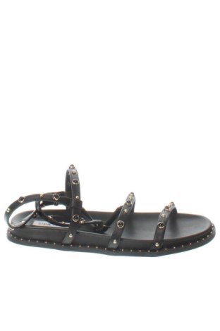 Sandale Steve Madden, Mărime 37, Culoare Negru, Preț 482,99 Lei, #137790178
