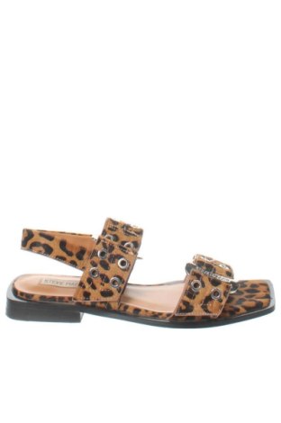 Σανδάλια Steve Madden, Μέγεθος 38, Χρώμα Πολύχρωμο, Τιμή 87,99 €, #137792954