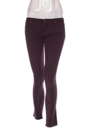 Pantaloni de velvet de femei BelAir, Mărime M, Culoare Mov, Preț 223,99 Lei, #128904438