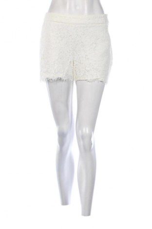 Damskie szorty Amisu, Rozmiar L, Kolor ecru, Cena 29,99 zł