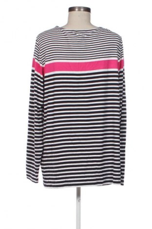 Γυναικεία μπλούζα Samoon, Μέγεθος L, Χρώμα Πολύχρωμο, Τιμή 4,99 €