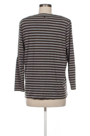 Γυναικεία μπλούζα Taifun, Μέγεθος M, Χρώμα Πολύχρωμο, Τιμή 5,99 €