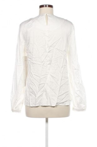 Damen Shirt Taifun, Größe M, Farbe Weiß, Preis 22,99 €