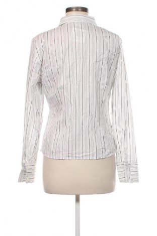 Dámská košile  Eterna, Velikost M, Barva Vícebarevné, Cena  189,00 Kč