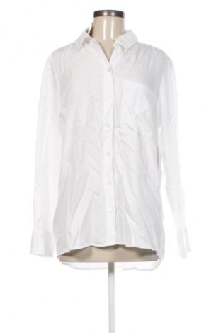 Damenbluse Samoon, Größe L, Farbe Weiß, Preis 5,99 €