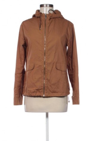 Damenjacke Massimo Dutti, Größe S, Farbe Braun, Preis 21,99 €
