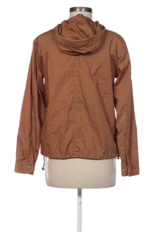 Damenjacke Massimo Dutti, Größe S, Farbe Braun, Preis 21,99 €