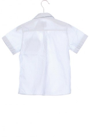 Dziecięca koszula Primigi, Rozmiar 5-6y/ 116-122 cm, Kolor Kolorowy, Cena 45,98 zł