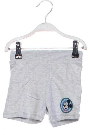 Dziecięce szorty Disney, Rozmiar 9-12m/ 74-80 cm, Kolor Szary, Cena 6,99 zł