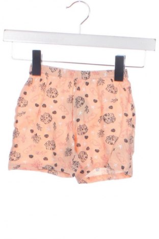 Dziecięce szorty Lupilu, Rozmiar 3-6m/ 62-68 cm, Kolor Kolorowy, Cena 6,99 zł