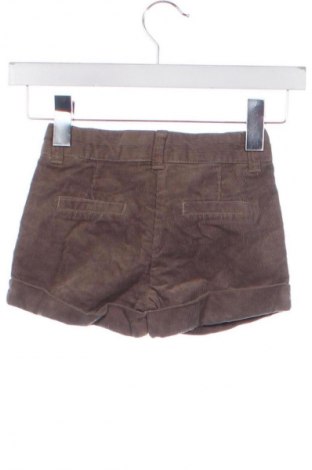 Dziecięce szorty Palomino, Rozmiar 18-24m/ 86-98 cm, Kolor Beżowy, Cena 6,99 zł