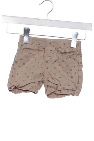 Dziecięce szorty Topomini, Rozmiar 12-18m/ 80-86 cm, Kolor Kolorowy, Cena 6,99 zł