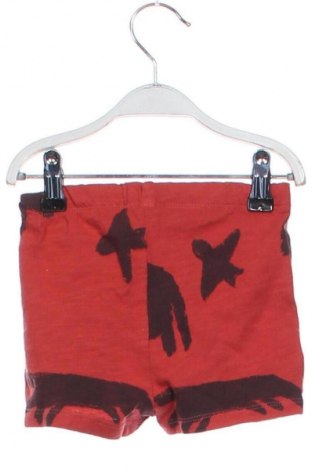 Dziecięce szorty Zara, Rozmiar 6-9m/ 68-74 cm, Kolor Kolorowy, Cena 6,99 zł