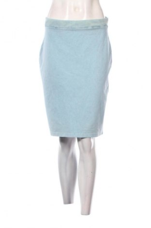 Φούστα Reserved, Μέγεθος L, Χρώμα Μπλέ, Τιμή 3,99 €