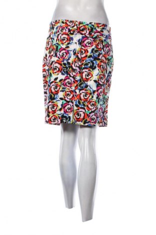Φούστα Review, Μέγεθος M, Χρώμα Πολύχρωμο, Τιμή 3,99 €