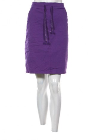 Sukně Unbranded, Velikost L, Barva Fialová, Cena  193,00 Kč