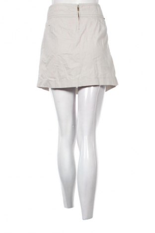 Sukně Zara, Velikost L, Barva Šedá, Cena  129,00 Kč