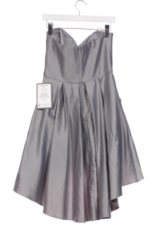 Sukienka Blondie Nites, Rozmiar S, Kolor Szary, Cena 579,99 zł