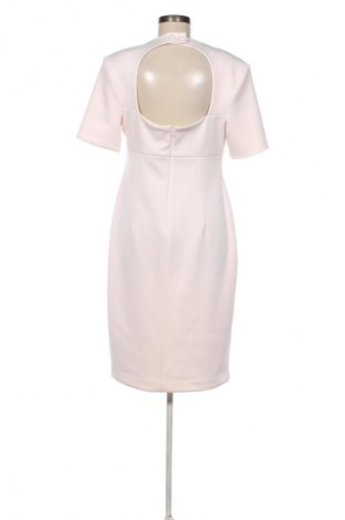 Kleid Calvin Klein, Größe XL, Farbe Rosa, Preis € 182,99