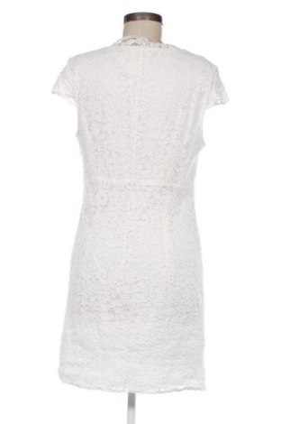 Sukienka Esprit, Rozmiar XL, Kolor Kolorowy, Cena 84,99 zł