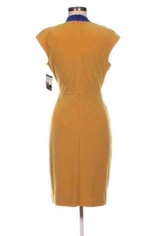 Kleid Kasper, Größe S, Farbe Mehrfarbig, Preis € 60,99