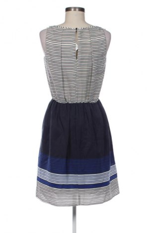 Šaty  Lashez, Velikost M, Barva Vícebarevné, Cena  229,00 Kč