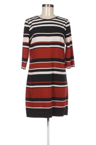 Φόρεμα Oasis, Μέγεθος M, Χρώμα Πολύχρωμο, Τιμή 4,99 €