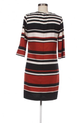 Φόρεμα Oasis, Μέγεθος M, Χρώμα Πολύχρωμο, Τιμή 4,99 €