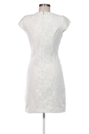 Рокля Reiss, Размер M, Цвят Екрю, Цена 25,56 €