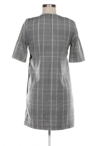 Kleid Zara Trafaluc, Größe M, Farbe Mehrfarbig, Preis € 4,99