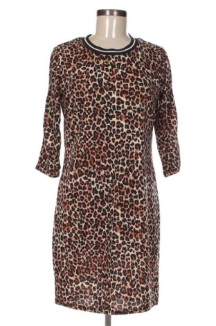 Kleid Zeeman, Größe M, Farbe Mehrfarbig, Preis € 5,99