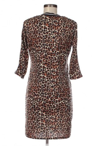 Kleid Zeeman, Größe M, Farbe Mehrfarbig, Preis € 5,99