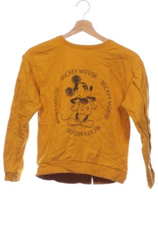 Kinder Shirt Pepco, Größe 12-13y/ 158-164 cm, Farbe Orange, Preis € 6,00, #137803443