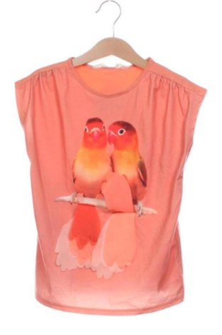 Tricou pentru copii Unbranded, Mărime 8-9y/ 134-140 cm, Culoare Portocaliu, Preț 31,49 Lei, #137812873