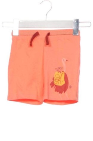 Kinder Shorts Unbranded, Größe 18-24m/ 86-98 cm, Farbe Orange, Preis 11,81 €, #137819944