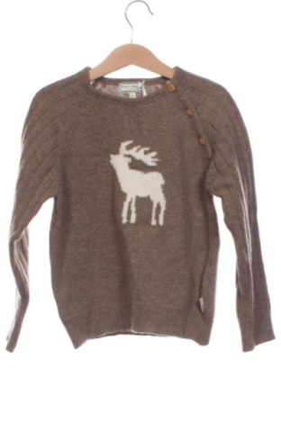 Детски пуловер Darcy Brown, Размер 4-5y/ 110-116 см, Цвят Кафяв, Цена 39,00 €, #137809898