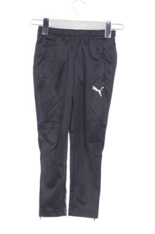 Pantaloni de trening, pentru copii PUMA, Mărime 4-5y/ 110-116 cm, Culoare Gri, Preț 204,71 Lei, #137804525