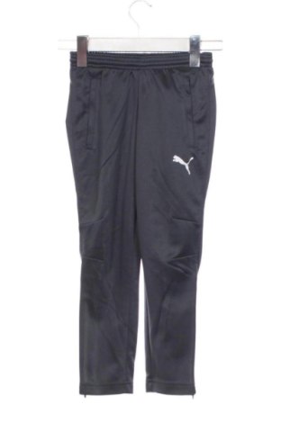 Pantaloni de trening, pentru copii PUMA, Mărime 4-5y/ 110-116 cm, Culoare Gri, Preț 204,71 Lei, #137804536