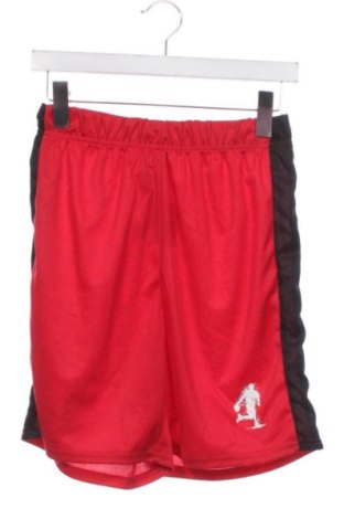 Pantaloni de trening, pentru copii SHEIN, Mărime 14-15y/ 168-170 cm, Culoare Roșu, Preț 68,24 Lei, #137842371