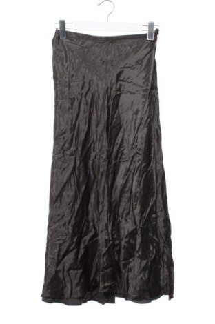 Fustă Zara, Mărime XS, Culoare Gri, Preț 73,49 Lei, #137805047
