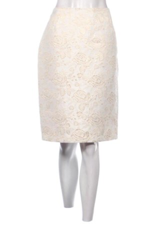 Fustă Fix, Mărime XL, Culoare Multicolor, Preț 51,00 Lei, #137840585