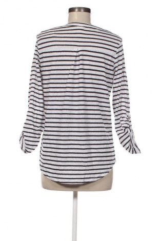 Damen Shirt Anko, Größe S, Farbe Mehrfarbig, Preis 7,99 €