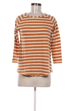 Dámska blúza Rich & Royal, Veľkosť S, Farba Viacfarebná, Cena  15,95 €