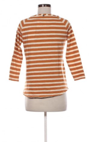 Dámska blúza Rich & Royal, Veľkosť S, Farba Viacfarebná, Cena  15,95 €